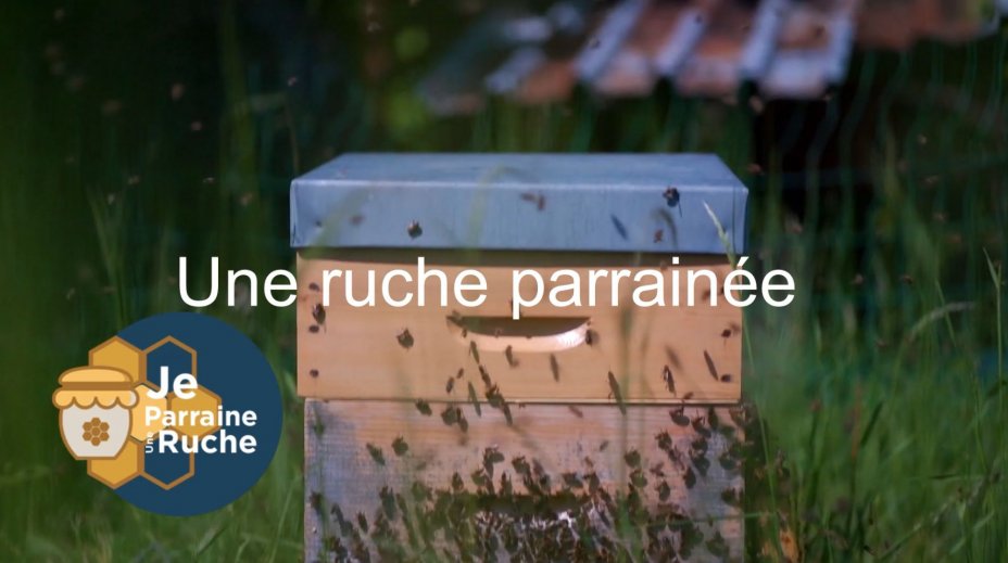 AMPA : Association Mécènes et Parrains d'Abeilles | Reconnue d'intérêt