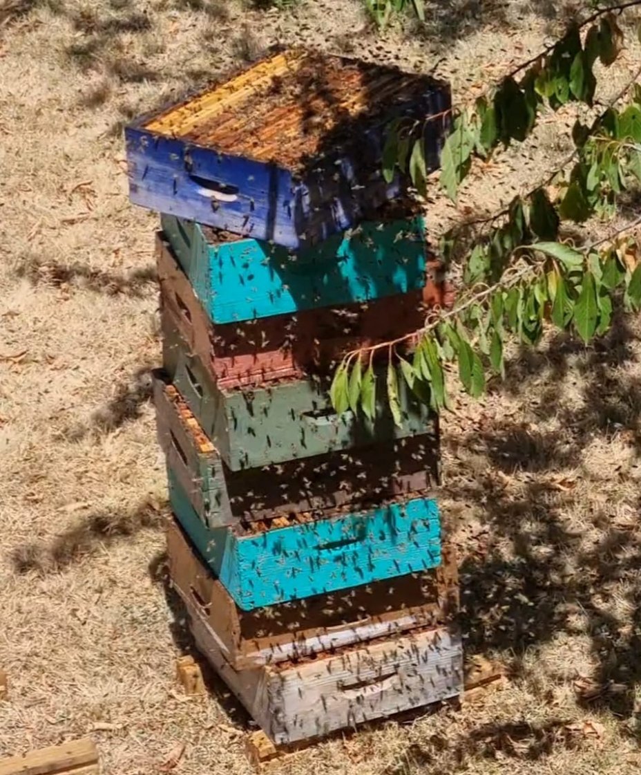 donn�s aux abeilles pour qu'elles 