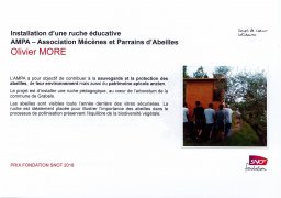 parrainer une ruche abeilles